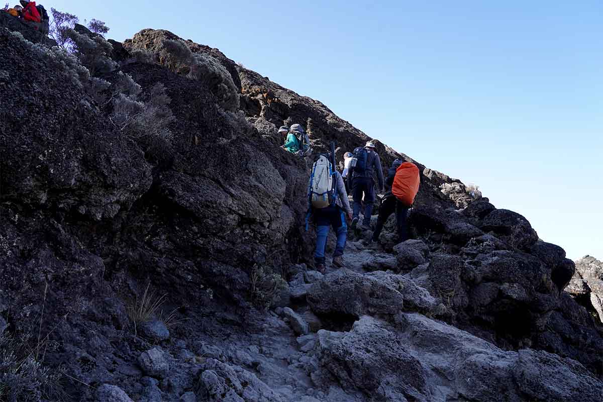 Terrains of Kilimanjaro